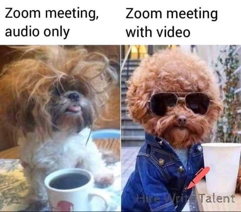 Zoom 